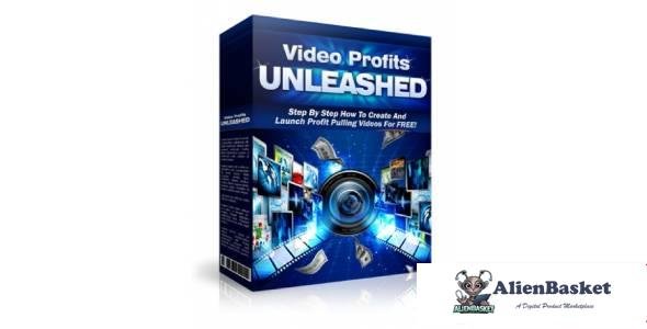 Video Profits Unleashed-9781