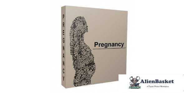 Pregnancy Niche Website Bundle-1623