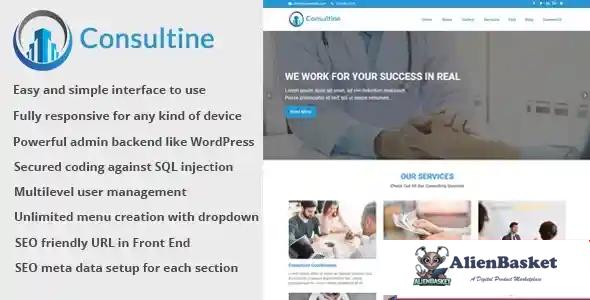 114911 Consultine - Consulting, Business and Finance Website CMS v1.3 