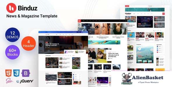 27965 Binduz v1.0 - Newspaper Blog Template 