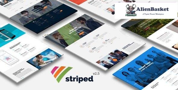 29253 Striped v2.5 - Multipurpose Business and Corporate Theme 