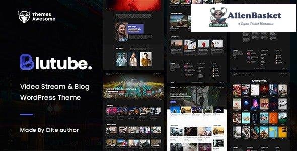 29593 Blutube v1.1 - Video Stream & Blog WordPress Theme 