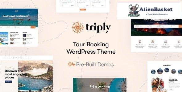 38219 Triply v2.3.3 - Tour Booking WordPress Theme 