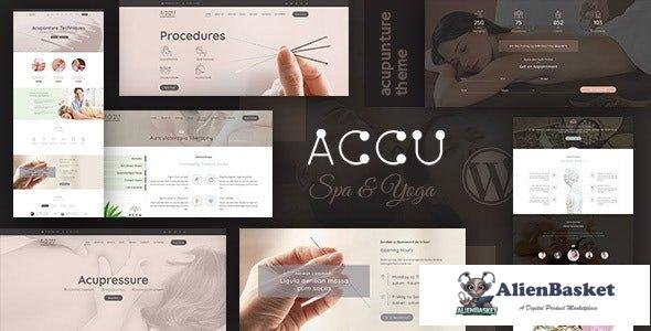 32343 Accu v3.0 - Healthcare, Massage WordPress Theme 