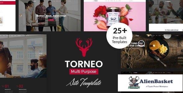 33355 Torneo - Creative Agency Multi-purpose HTML Template 