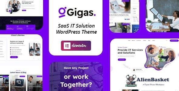 36250 Gigas v1.0 - SaaS WordPress Theme 