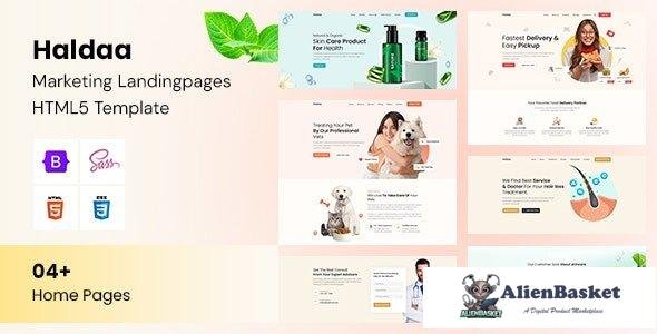 36279 Haldaa - Marketing Landing pages HTML5 Template 