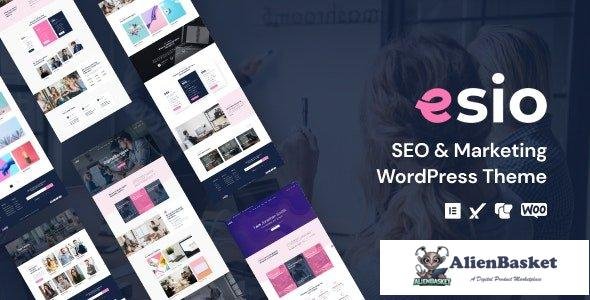 40421 Esio v1.1 - SEO & Marketing WordPress Theme 