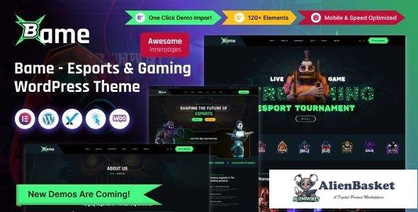 41589 Bame v1.0 - eSports and Gaming WordPress Theme 