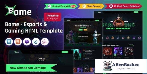 41875 Bame - Esports & Gaming HTML Template 