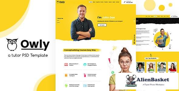 13139 Owly - Tutor PSD Template 