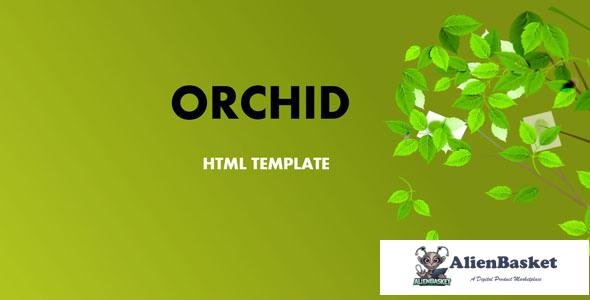 11348 Orchid - HTML Template 