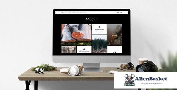 19917 Killeen v1.0.0 - Portfolio Showcase Drupal Theme 