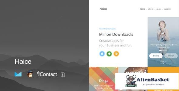 12176 Haice Mail v1.0 - Responsive E-mail Template + Online Access 