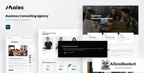 25101 Malex v1.0 - Business Consulting Agency PSD Template 