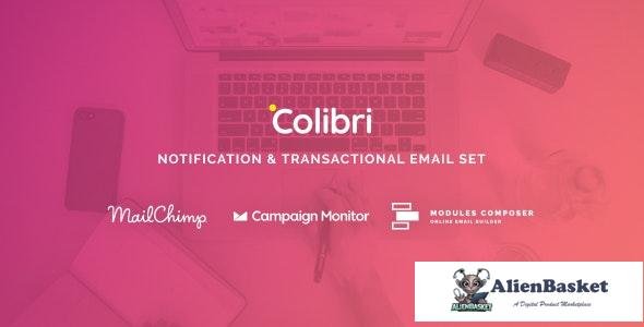 26763 Colibri v1.0 - Notification & Transactional Email Templates with Online Builder 