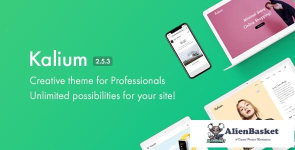 11096 Kalium v2.5.3 - Creative Theme for Professionals 