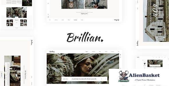 13464 BRILLIAN v1.0 - Photography, Personal, Blog HTML Template 