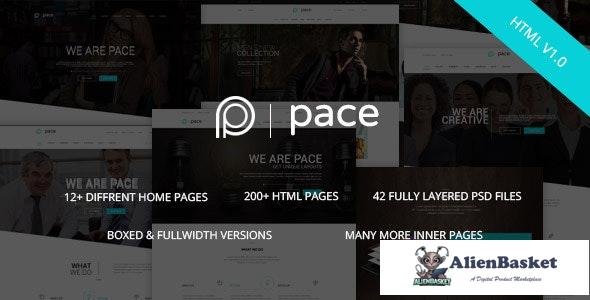 17978 Pace v1.0 - Responsive MultiPurpose HTML5 Template 