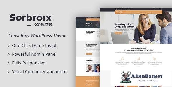 17632 Sorbroix v1.0 - Business Consulting WordPress Theme 