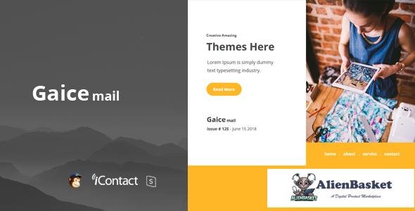 12178 Gaice Mail v1.0 - Responsive E-mail Template + Online Access 