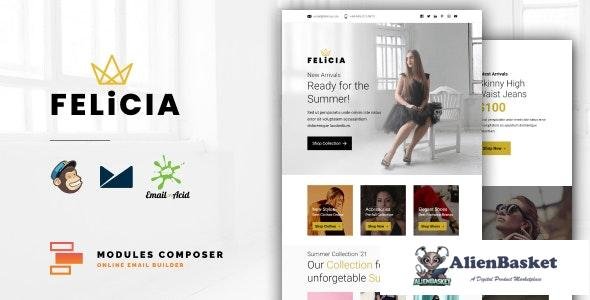 25782 Felicia v1.0 - E-commerce Responsive Email for Fashion & Accessories with Online Builder 