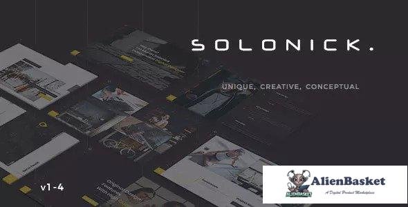 13663 Solonick - Creative Responsive Personal Portfolio 