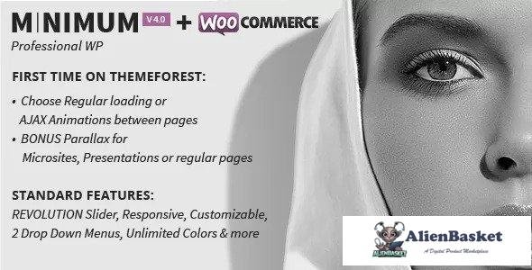 13587 MINIMUM v4.0 - Professional WordPress Theme 