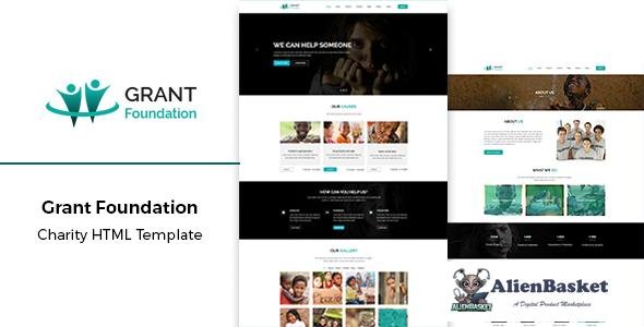 16044 Grant Foundation - Nonprofit Charity HTML Template 