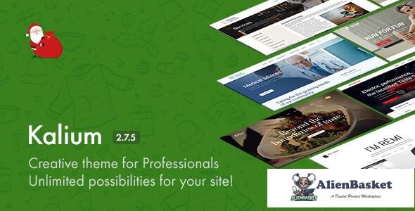 12237 Kalium v2.7.5 - Creative Theme for Professionals 