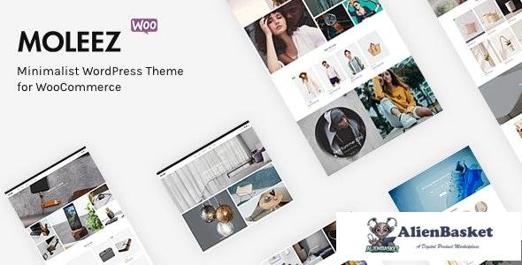 36237 Moleez v2.4.4 - Minimalist WordPress Theme for WooCommerce 