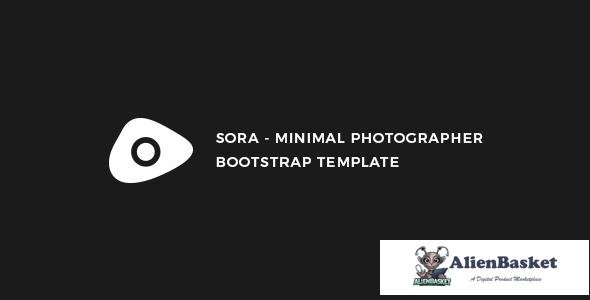 10776 Sora - Minimal Photographer Template 