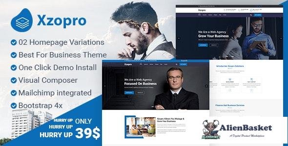 15987 Xzopro  v1.0.0 - Finance And Business Consulting WordPress Theme 