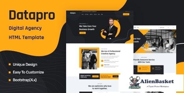 25998 Datapro v1.0 - One Page Agency HTML Template 