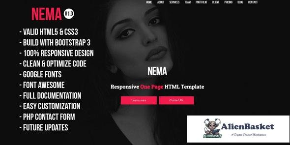 11674 Nema - One Page Multipurpose HTML Template 