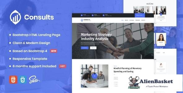 27355 Consults v1.0 - Consulting and Finance HTML Landing Page Template 