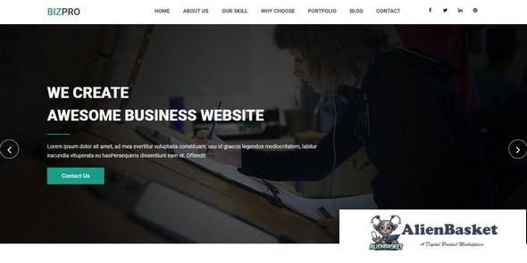 11143 Bizpro v1.1 - OnePage HTML Business Template 