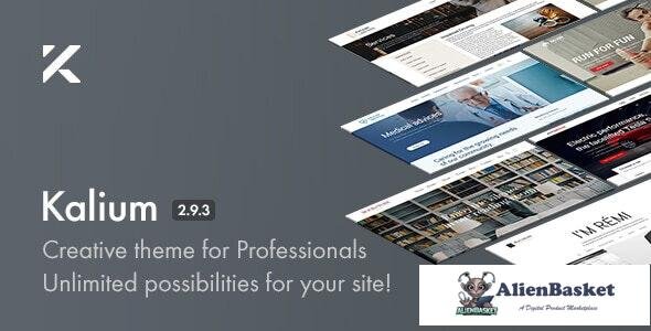 17828 Kalium v2.9.3 - Creative Theme for Professionals 