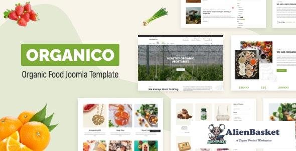 31311 Organico v1.0 - Nutritionist Food & Farm Joomla 4 Template 