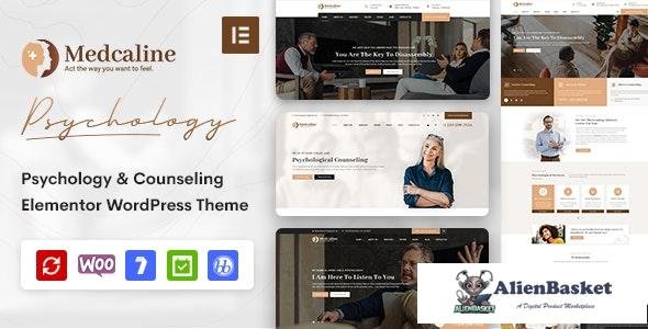 22225 Medcaline v1.0.0 - Psychology & Counseling WordPress Theme 