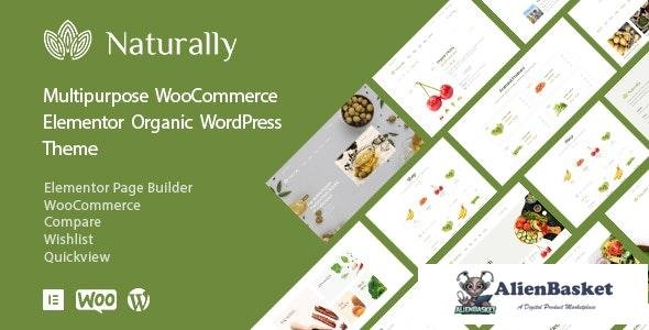 20396 Naturally v1.0.2 - Organic Food & Market WooCommerce Theme 