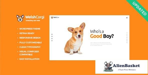 14180 Welsh Corgi v1.0.1 - Dog Breeding and Sale WordPress Theme 