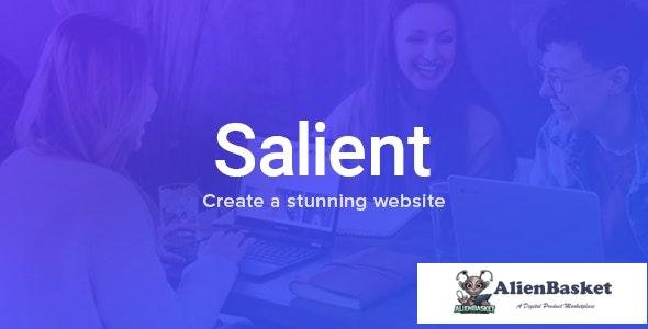 17250 Salient v11 - Responsive Multi-Purpose Theme 