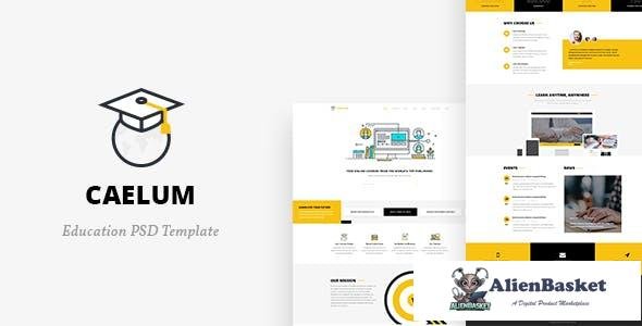 14123 Caelum v1.0 - Education PSD Template 