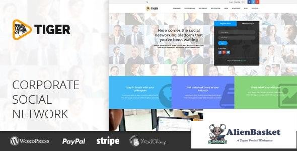 20036 TIGER v101.1.8 – Social Network Theme for Companies & Professionals 