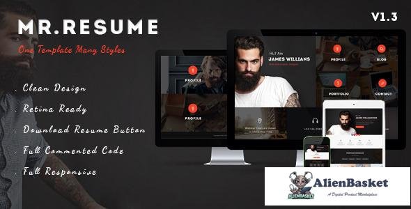 13727 Morgan v1.3 - Resume, Profile and Portfolio WP Theme 