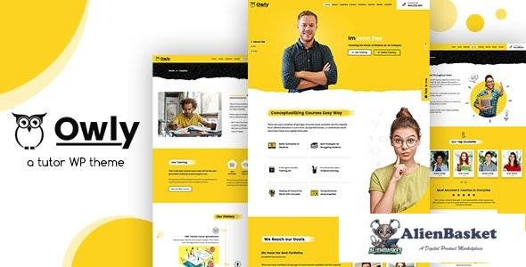 30784 Owly v2.3 - Tutor, Training WordPress, elearning Theme 