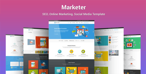 17635 Marketer v1.2.6 - SEO, Online Marketing, Social Media WordPress Theme 