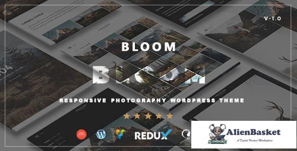 10653 Bloom v1.0 - Responsive Photography / Portfolio Theme 