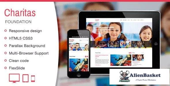 13527 Charitas - Foundation HTML Template 